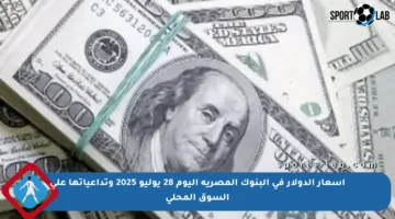أسعار الدولار في البنوك المصرية اليوم 28 يوليو 2025 وتداعياتها على السوق المحلي